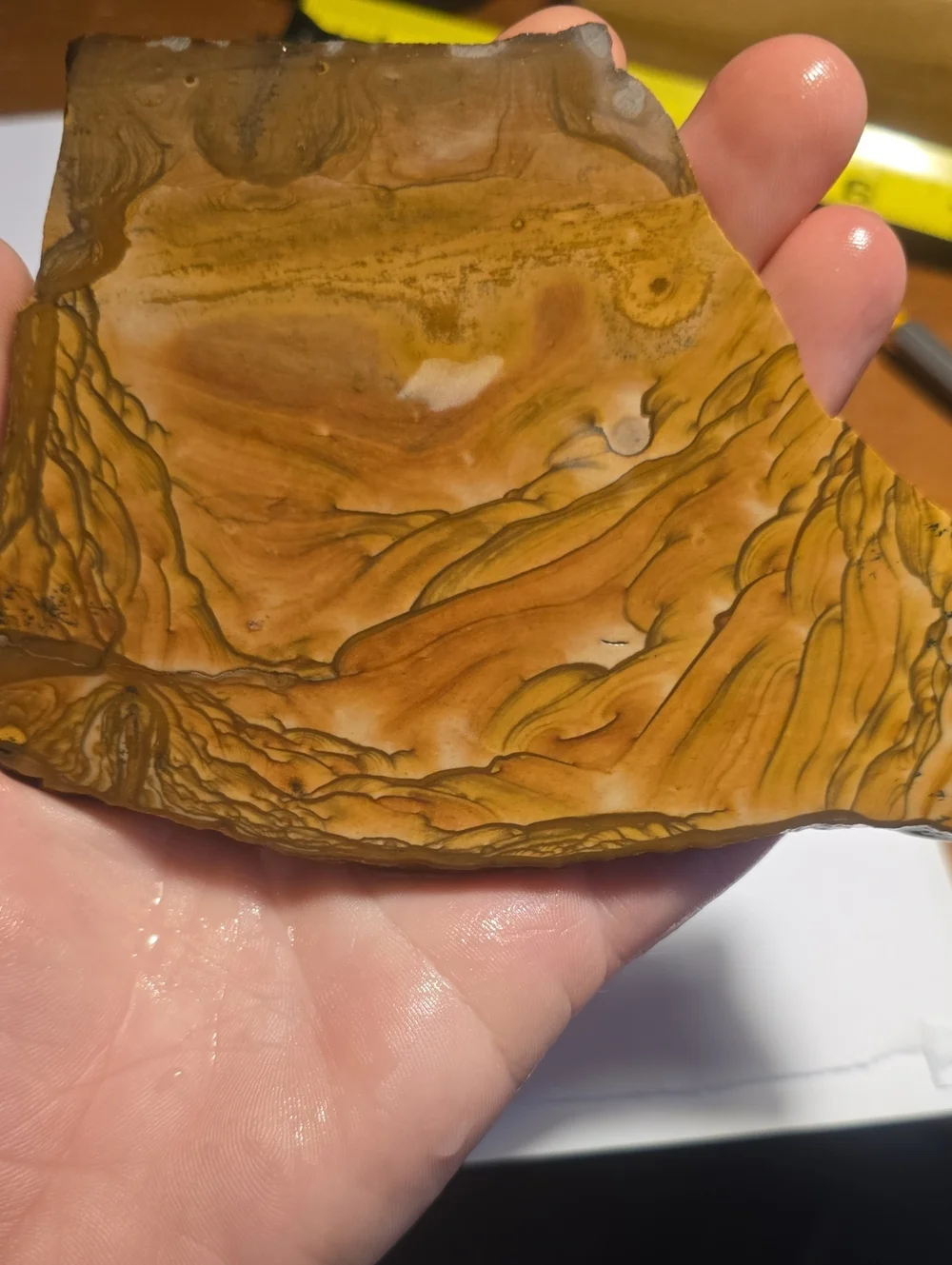 Old Stock Biggs Oregon Picture jasper Slab 147.49g